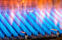 Apuldram gas fired boilers